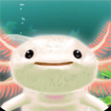 治愈的蝾螈育成