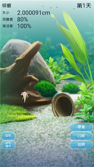 治愈的蝾螈育成1