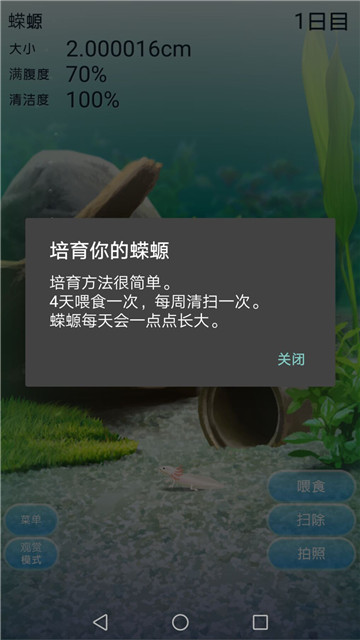 治愈的蝾螈育成3