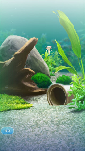 治愈的蝾螈育成2