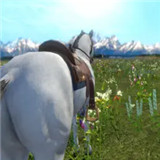 今天你骑马了吗