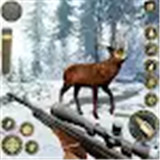 丛林鹿狩猎