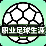 职业足球生涯