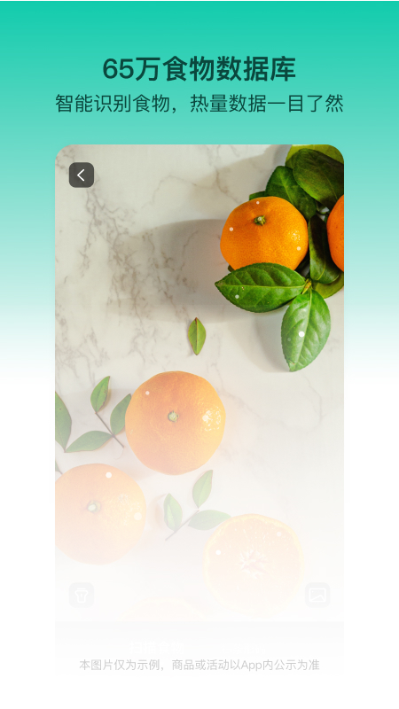 LEFU热量减肥法2