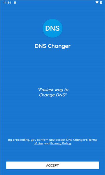 dns change