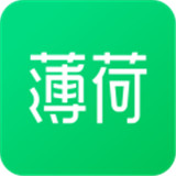 薄荷健康减肥