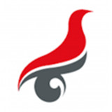 学信网学历查询