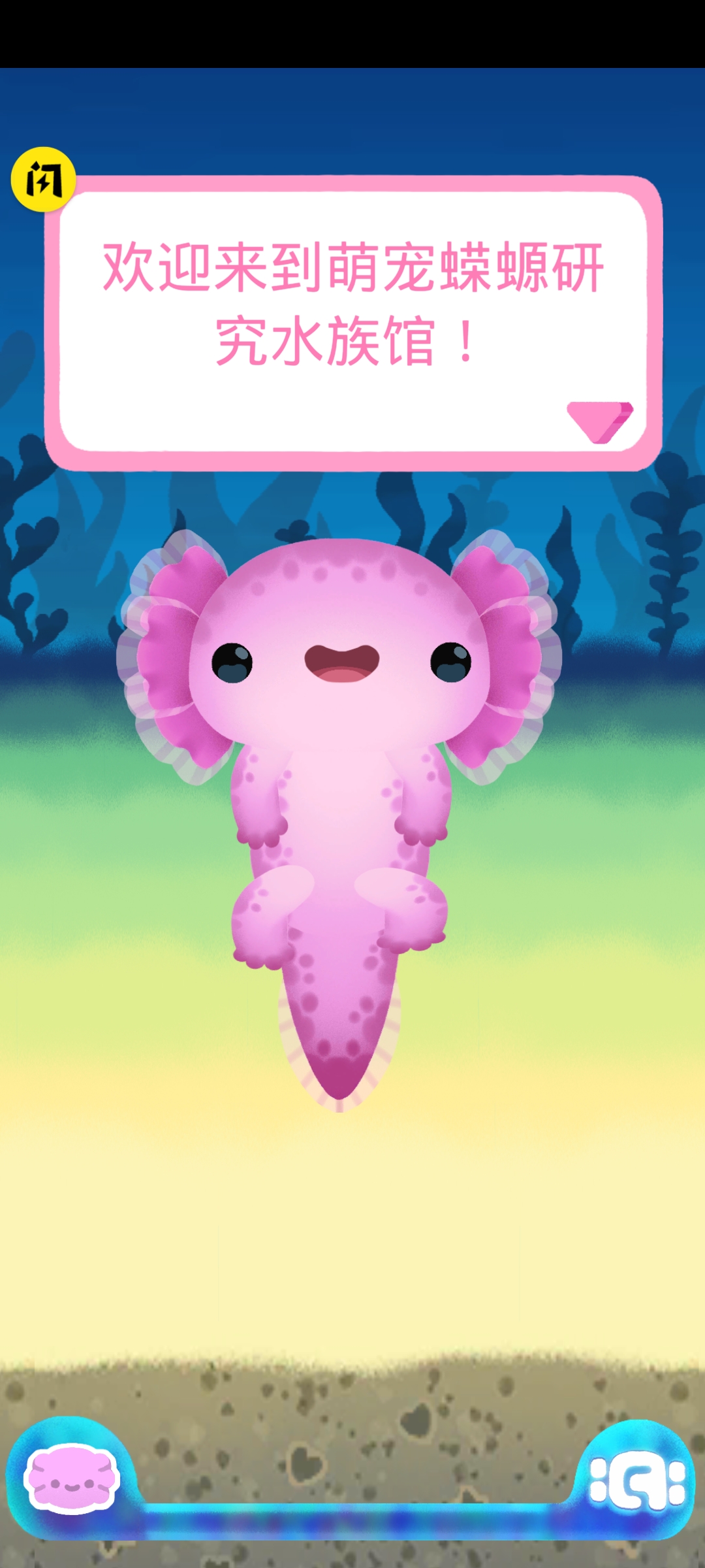 萌宠蝾螈1