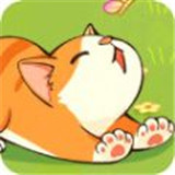 猫咪解压馆