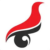 学信网学籍信息查询