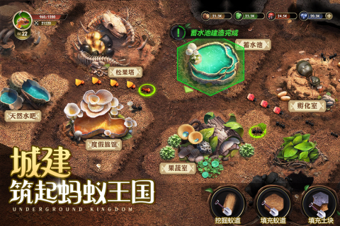 小小蚁国4
