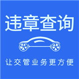 车代帮交通违章查询