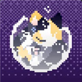 对人类过敏的猫