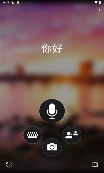 microsoft translator4