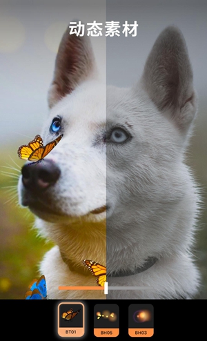 Motionleap专业版1