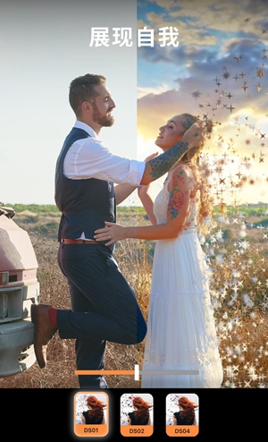 Motionleap专业版3