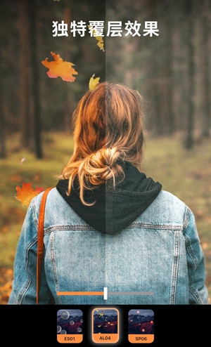 Motionleap专业版4