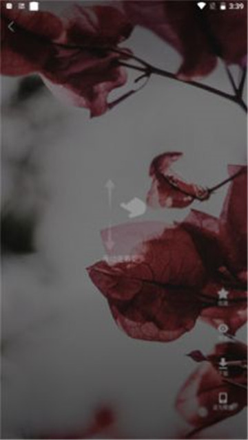 超萌鸭手机版app2