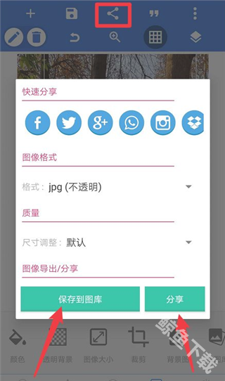 pixellab中文版