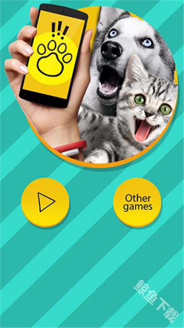 pettranslator