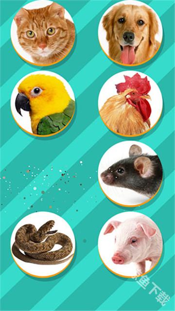 pettranslator