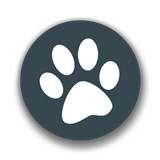 兽音译者下载翻译