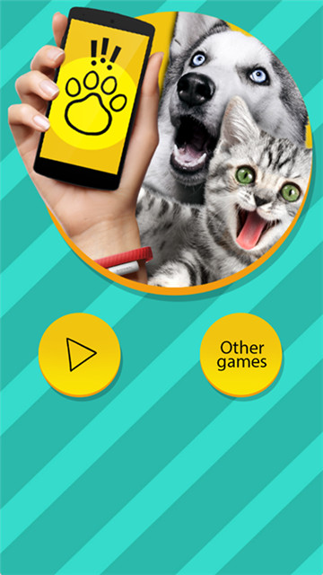 pettranslator软件1