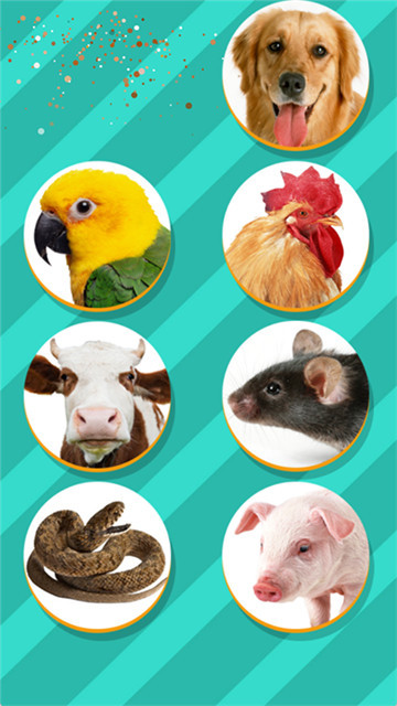 pettranslator安卓版4