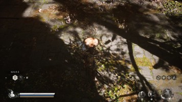 黑神话悟空黑风山翠竹林岩洞打坐点位置在哪里