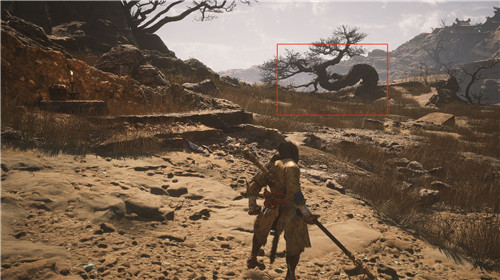 黑神话悟空黄风岭枕石坪枯松下打坐蒲团位置在哪里