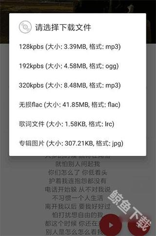 qmd音乐