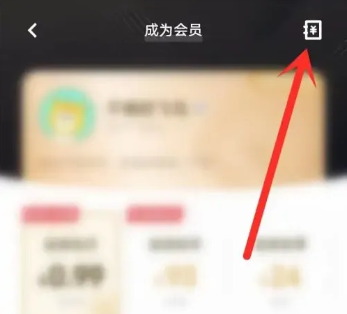 i主题vivo