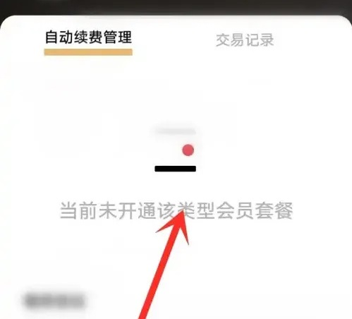 i主题vivo
