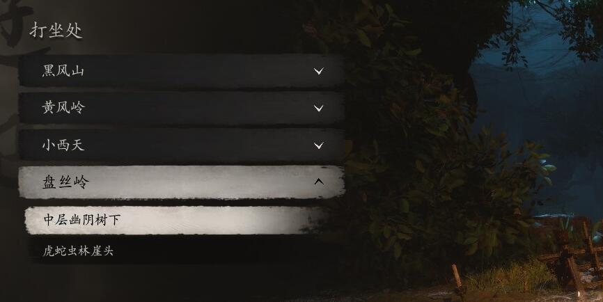 黑神话悟空盘丝洞下层幽阴树下打坐点蒲团在哪里