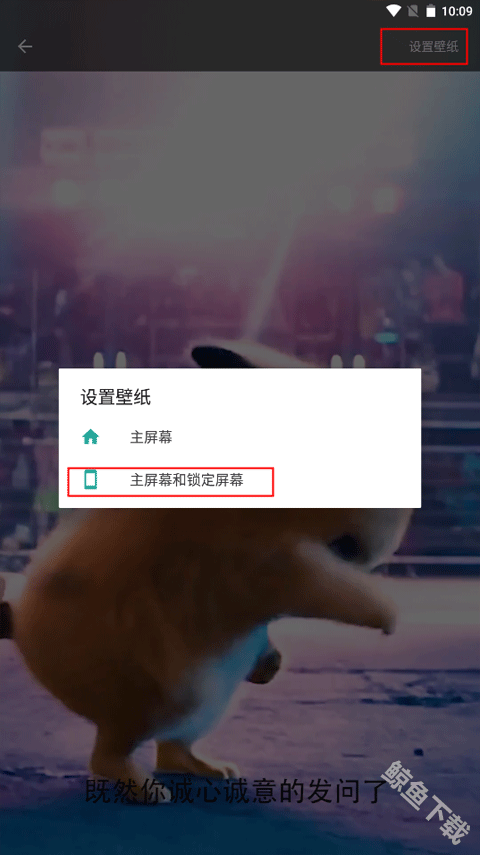 皮皮壁纸