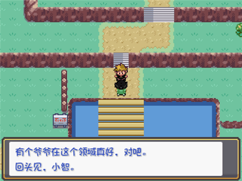 口袋妖怪燃之智