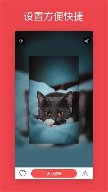 安卓动态壁纸软件1