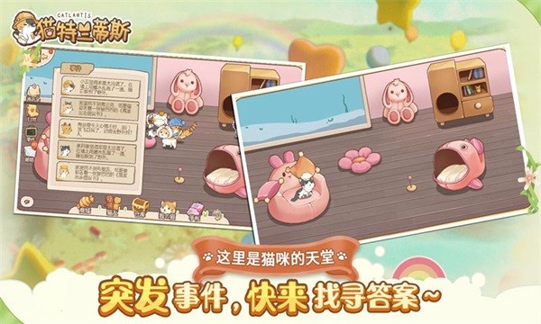 猫猫狗狗一起玩4