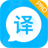 论文翻译助手