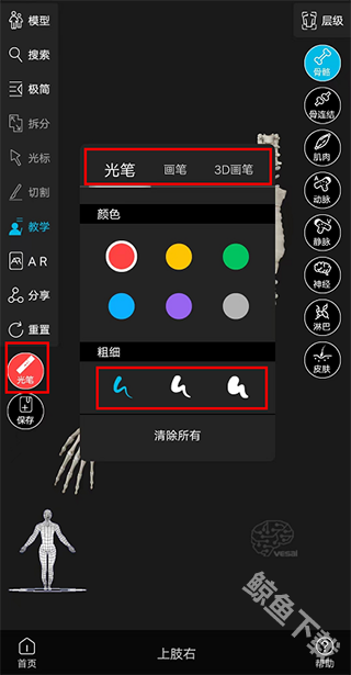 解剖大师app