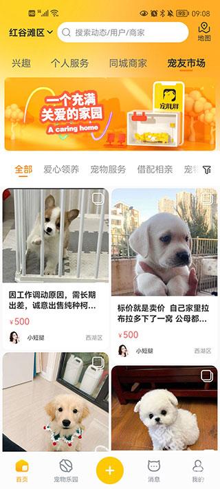 宠胖胖app
