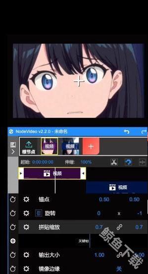 NodeVideo正版