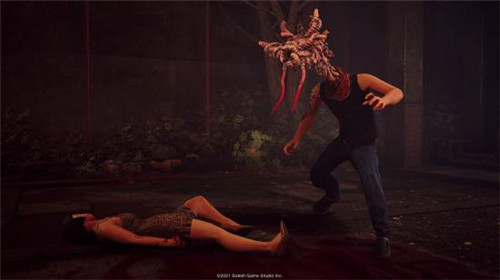 野狗子即将发售