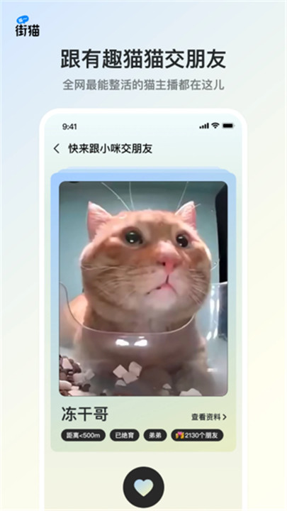 哈啰街猫手机版3