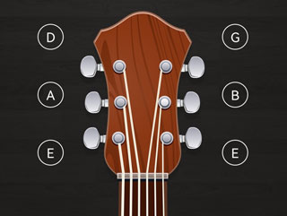 小熊调音器免费