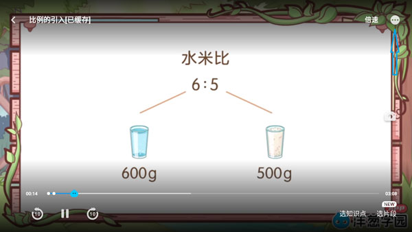 洋葱学园教师版