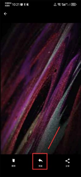 dumpster恢复软件