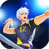 排球故事安卓版
