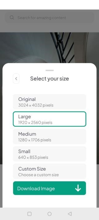 pexels素材中文版