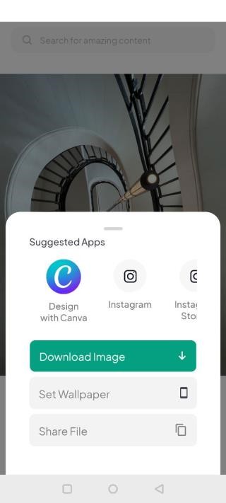 pexels素材中文版